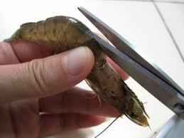 蒜蓉蒸蝦的做法 步驟4