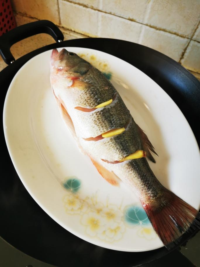 清蒸魚（桂魚、鱸魚、多寶、鯿魚均適用）的做法 步驟5