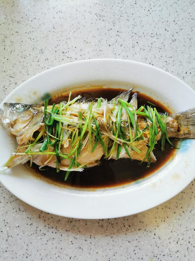 清蒸魚（桂魚、鱸魚、多寶、鯿魚均適用）的做法 步驟9