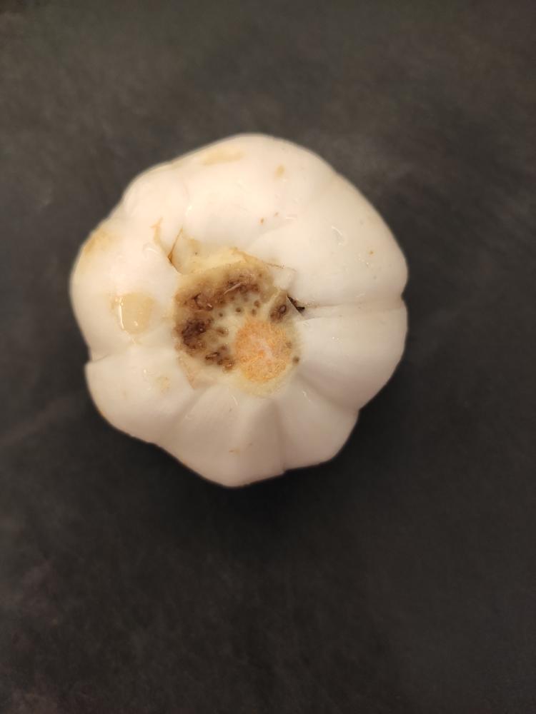 炒百合食譜做法 步驟1