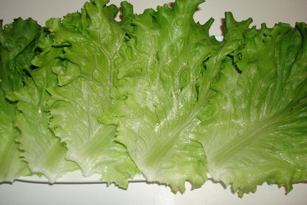 韓式生菜包肉的做法 步驟8