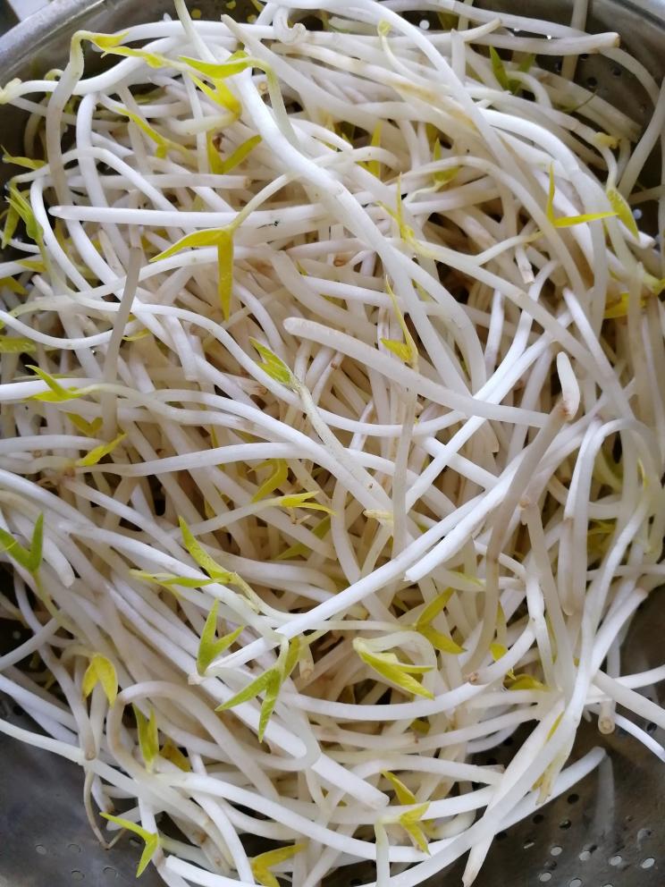 銀芽炒肉絲的做法 步驟2